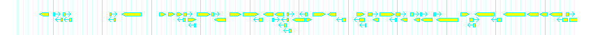 Genes detail