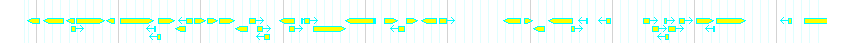 Genes detail