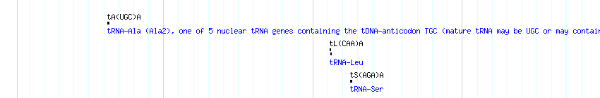 tRNAs detail