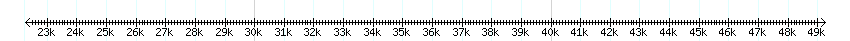 __scale__ detail