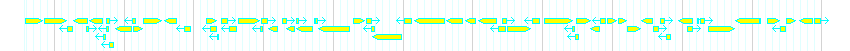 Genes detail