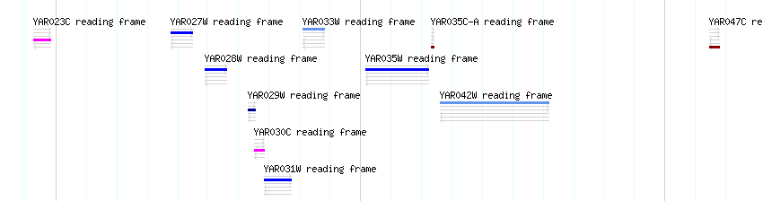 CDS detail