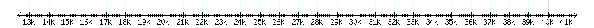 __scale__ detail