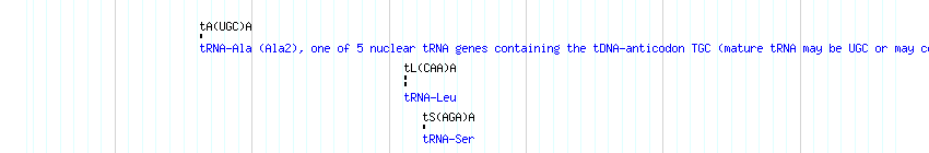 tRNAs detail