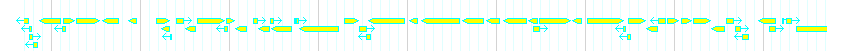 Genes detail