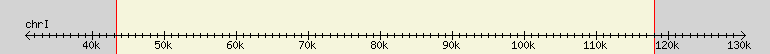 __scale__ region