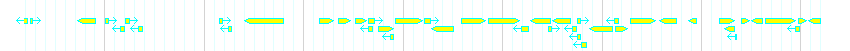 Genes detail