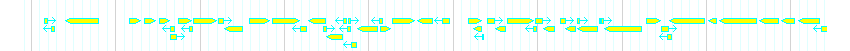 Genes detail