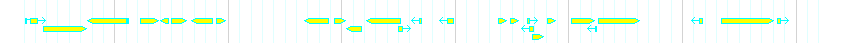 Genes detail