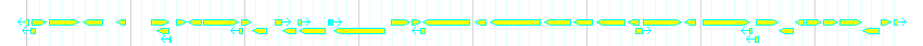 Genes detail