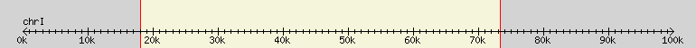 __scale__ region