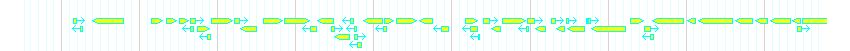 Genes detail