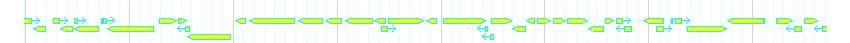Genes detail
