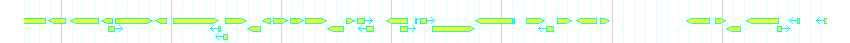 Genes detail