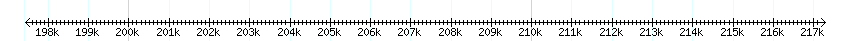 __scale__ detail