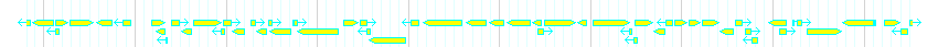 Genes detail