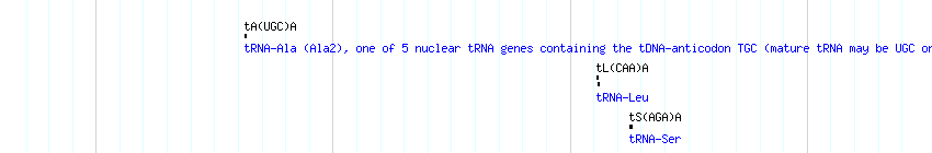 tRNAs detail