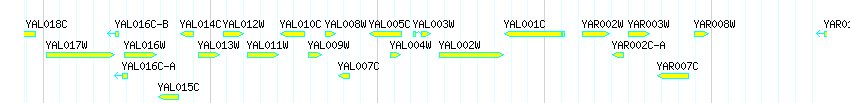 Genes detail
