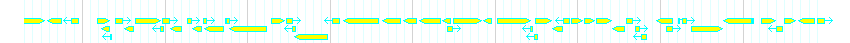 Genes detail