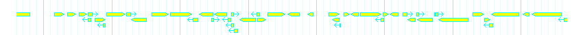 Genes detail