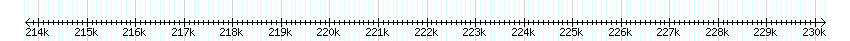 __scale__ detail