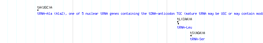 tRNAs detail