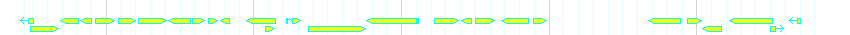 Genes detail