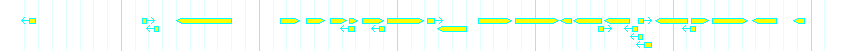 Genes detail