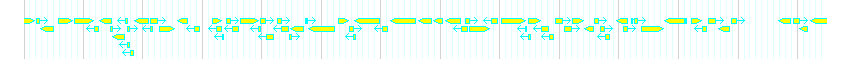 Genes detail