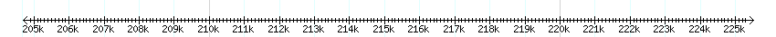 __scale__ detail