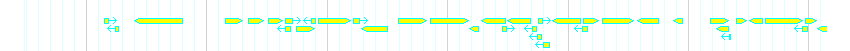Genes detail