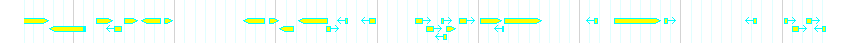 Genes detail