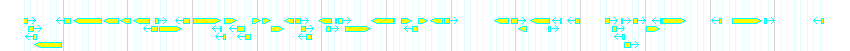Genes detail