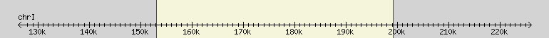 __scale__ region