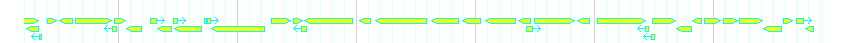 Genes detail