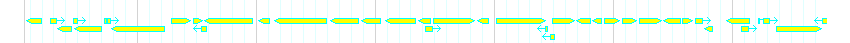 Genes detail