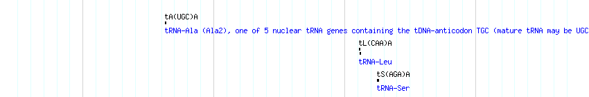 tRNAs detail