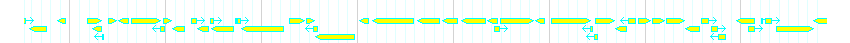 Genes detail