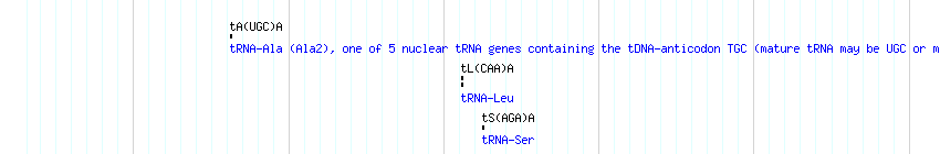 tRNAs detail