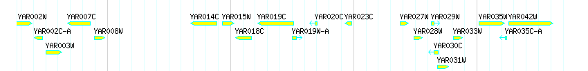 Genes detail