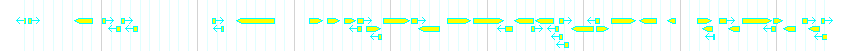 Genes detail