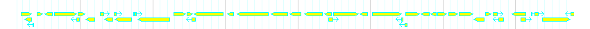 Genes detail