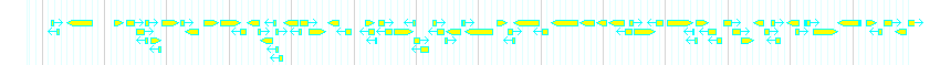Genes detail