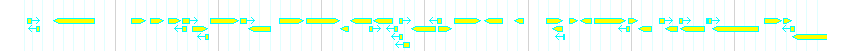 Genes detail