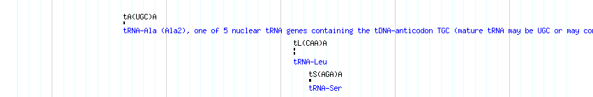 tRNAs detail