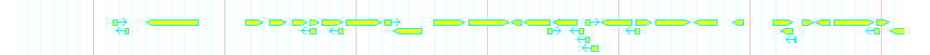 Genes detail