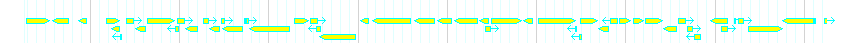 Genes detail
