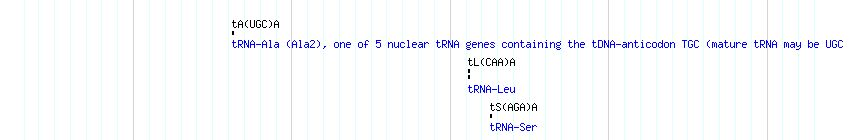 tRNAs detail