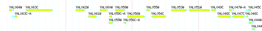 Genes detail