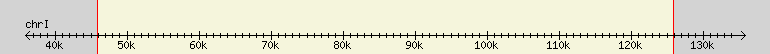 __scale__ region